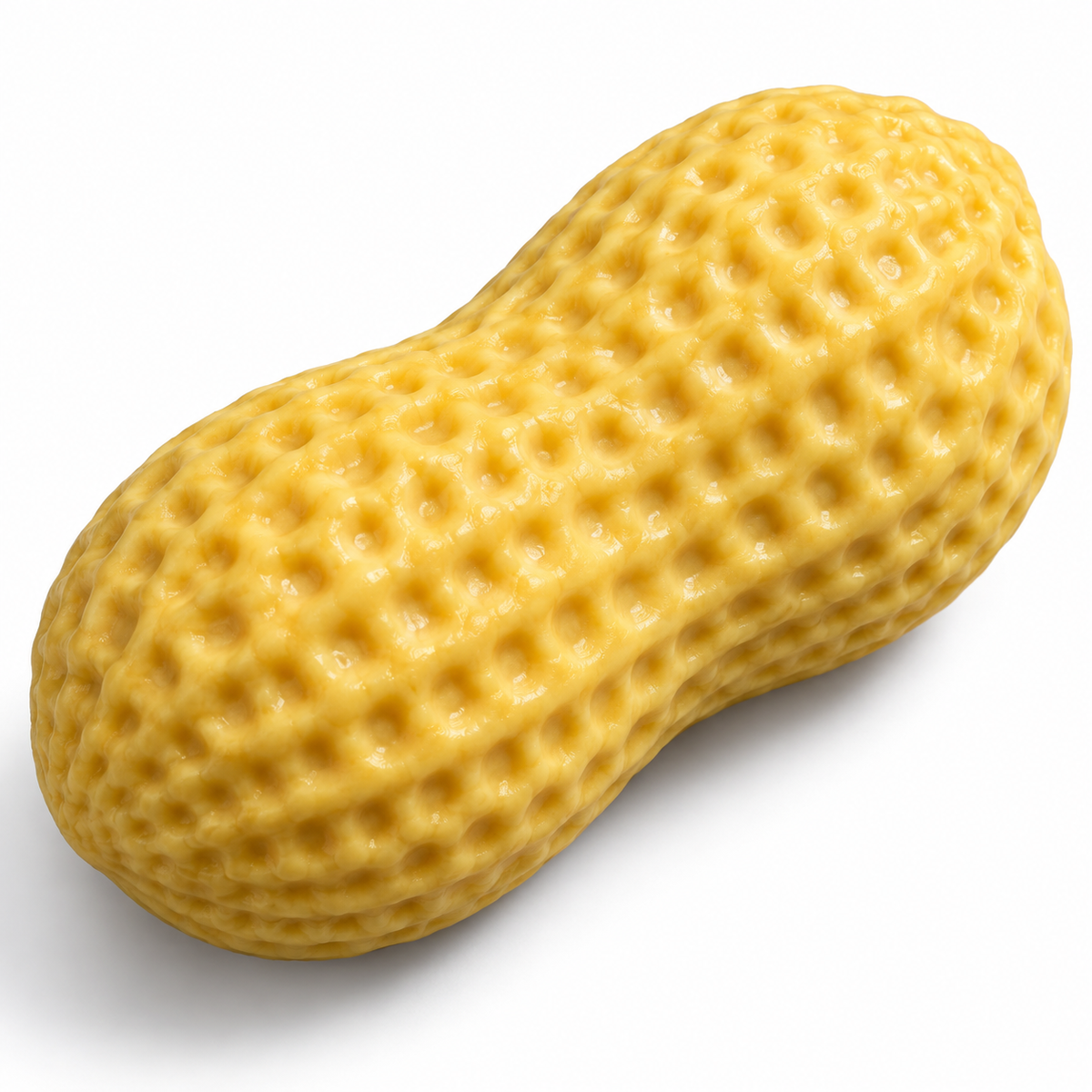 Crunchy Peanut Squishy